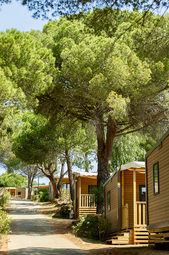 hameau des pins camping dans le var