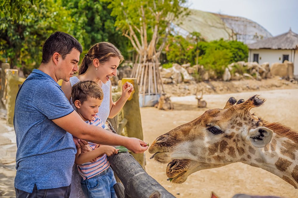 les activites familiales dans le var