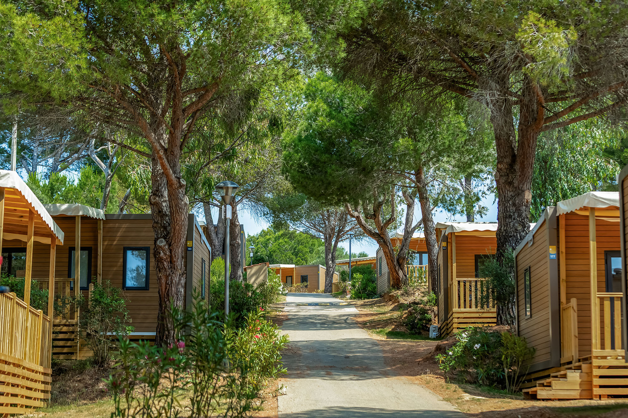 mentions legales camping hameau des pins la moutonne